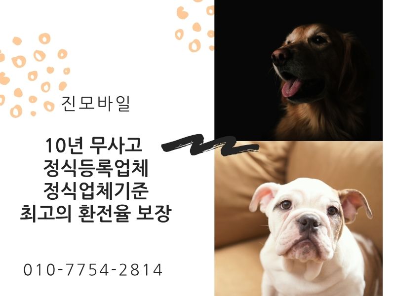 10년 무사고 이미지