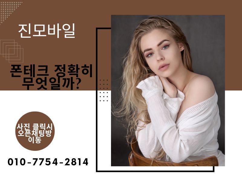 폰테크 정확히 무엇일까? 이미지