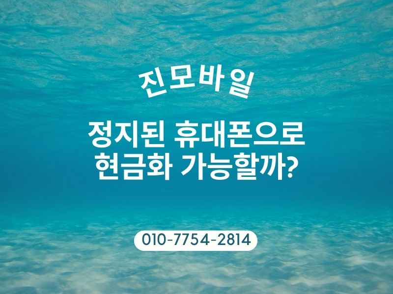 정지된 휴대폰으로 현금화 이미지