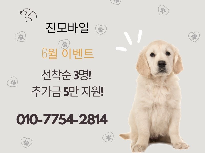 6월 이벤트 이미지