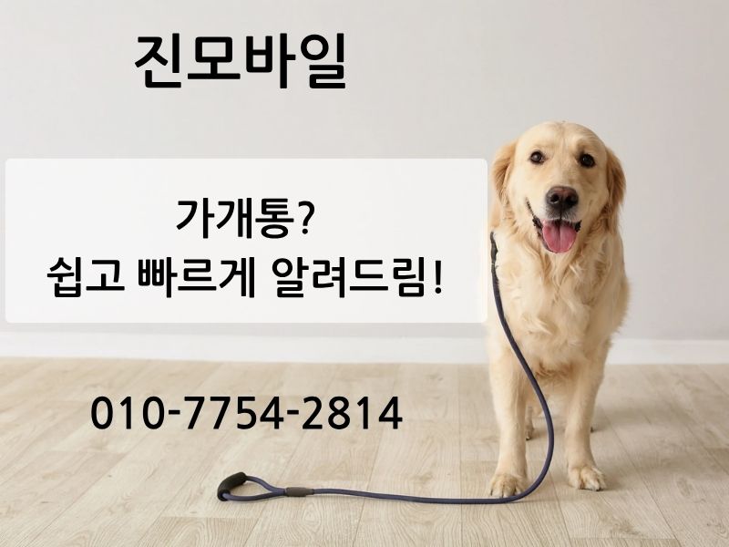 가개통이란?