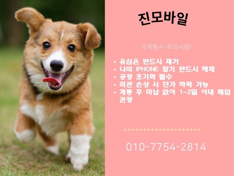 가개통시 주의사항