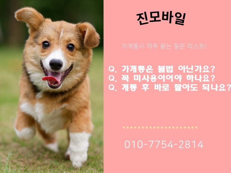가개통시 질문 리스트