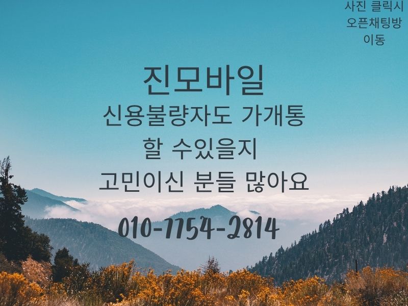신용불량자 가개통이미지
