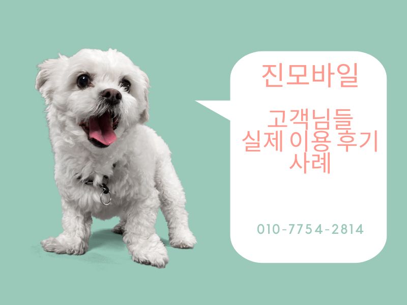 실제 이용후기 사례