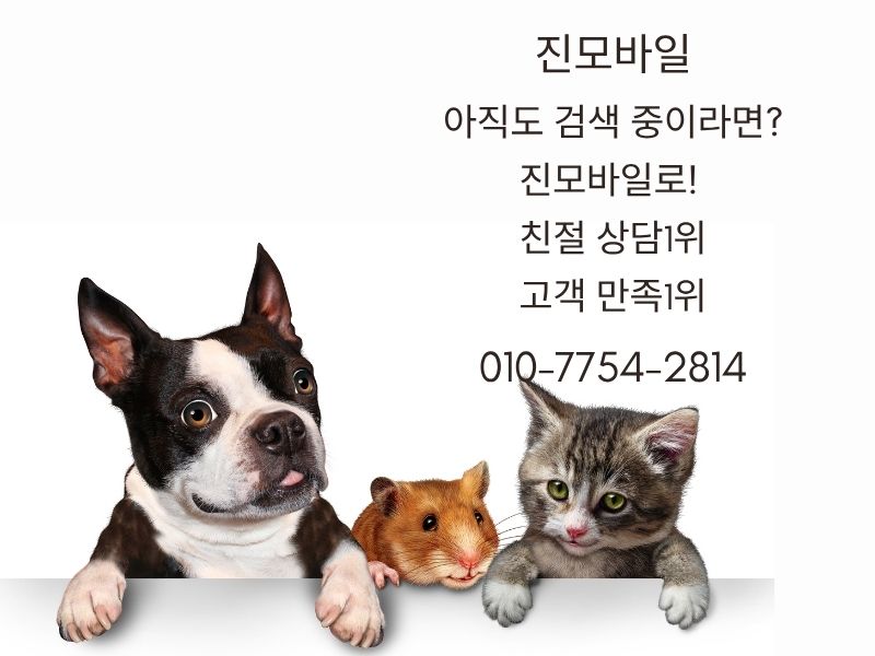 진모바일 검색 이미지